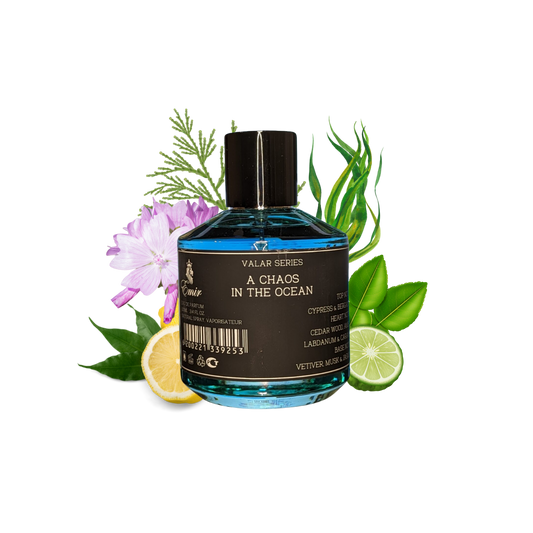 A CHOAS IN THE OCEAN