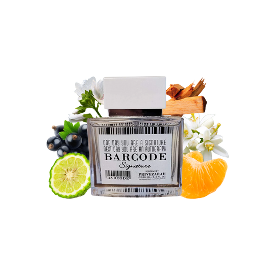 BARCODE SIGNATURE - Inspired by Creed Silver Mountain Water