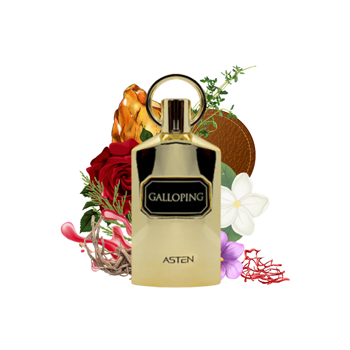 GALLOPING ASTEN - Unisex Perfume | Aroma Concepts PK