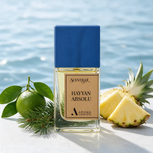 Hayyan Absolu
