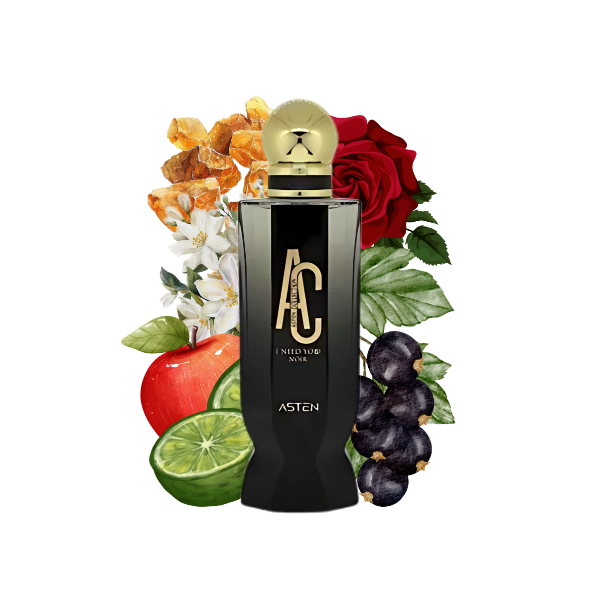 I NEED YOU NOIR ASTEN - unisex floral fragarnce