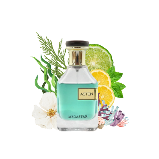 MEGASTAR ASTEN 100ml