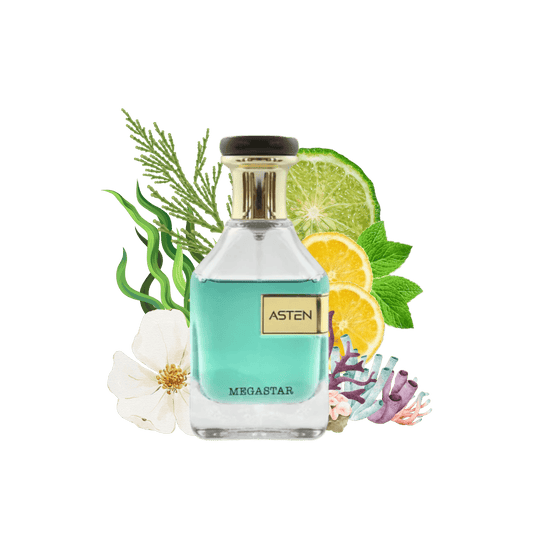 MEGASTAR ASTEN 100ml