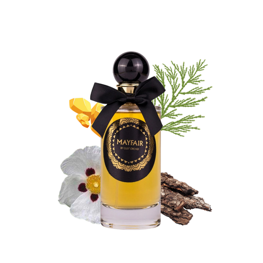 Mayfair Gulf Orchid