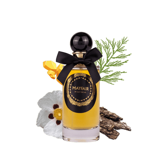 Mayfair Gulf Orchid