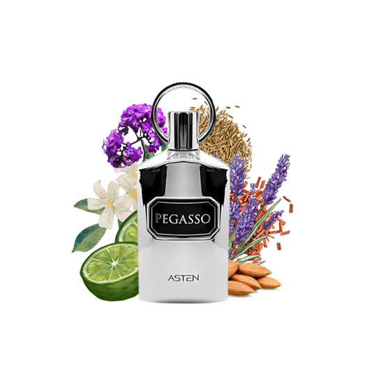 PEGASSO ASTEN