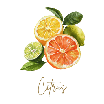 Citrus Collection