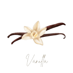 Vanilla Collection