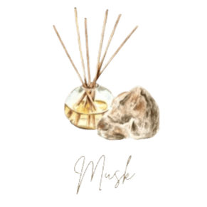 Musky Scent Collection