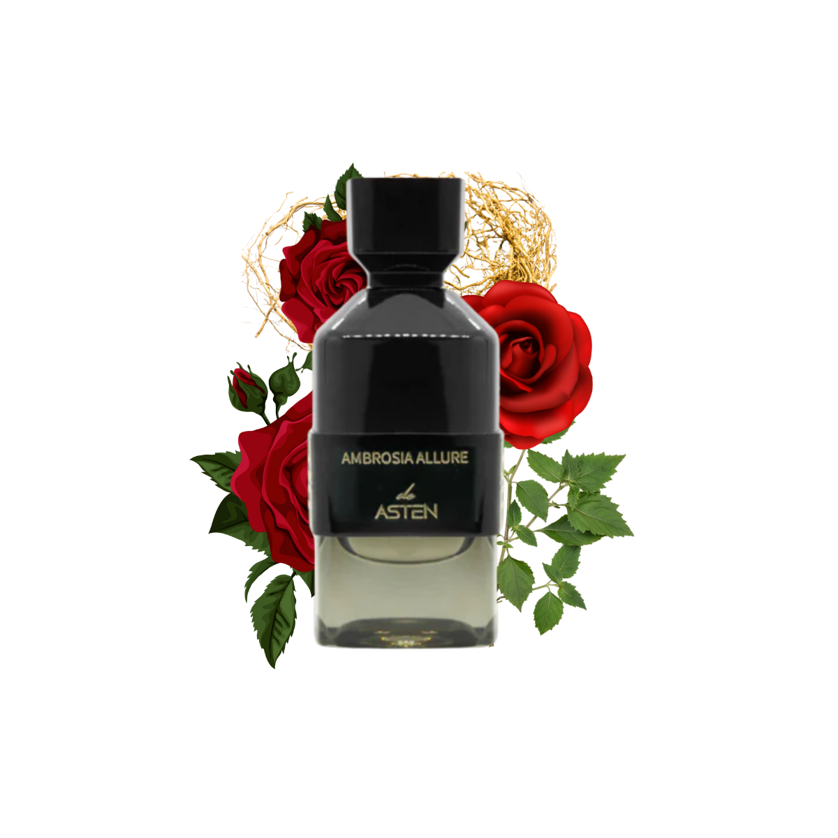 AMBROSIA ALLURE ASTEN