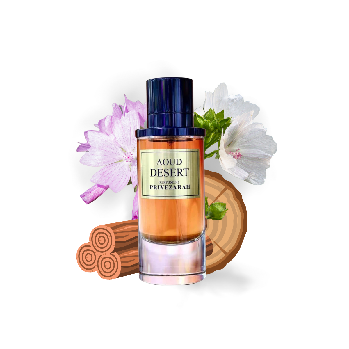 AOUD DESERT