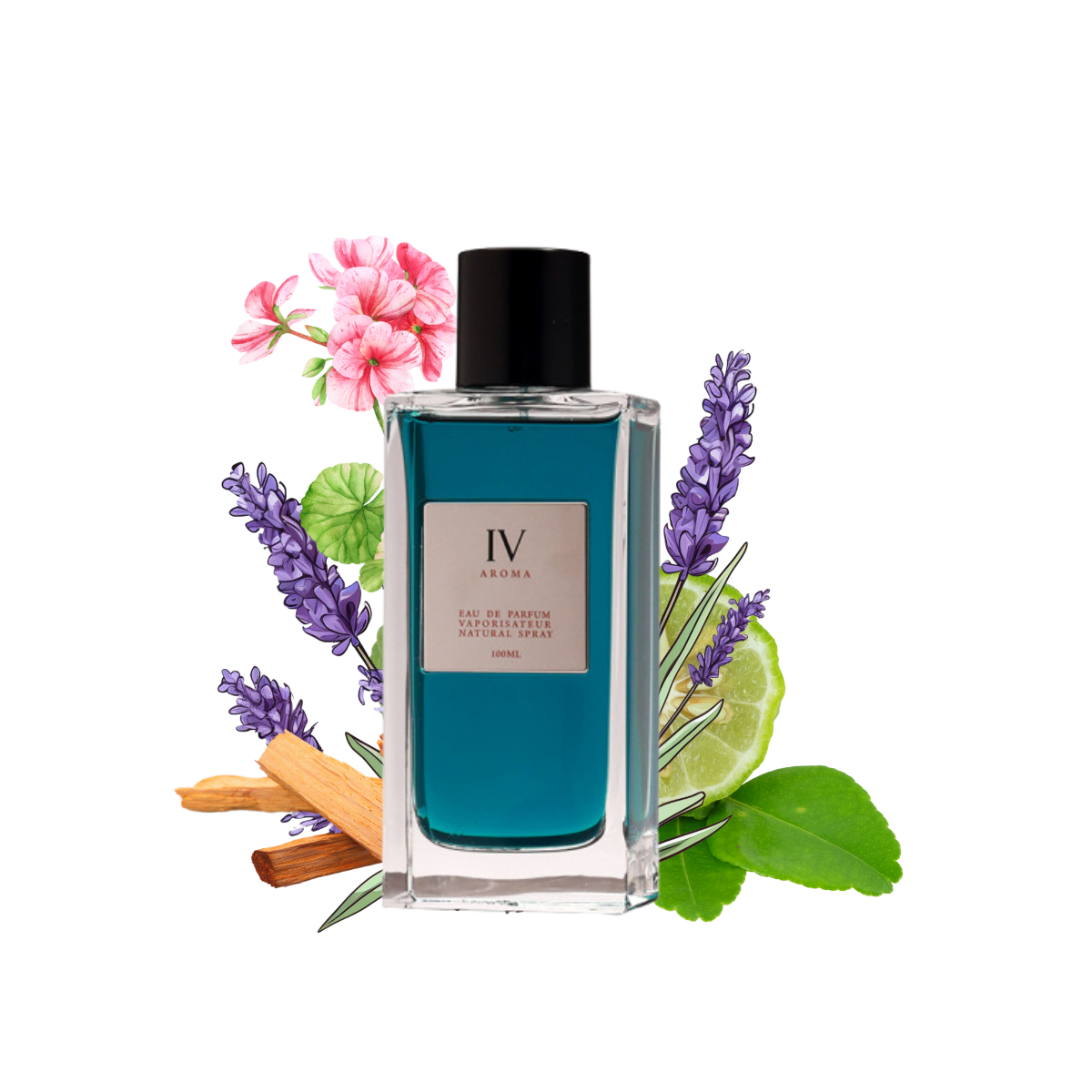 AROMA IV