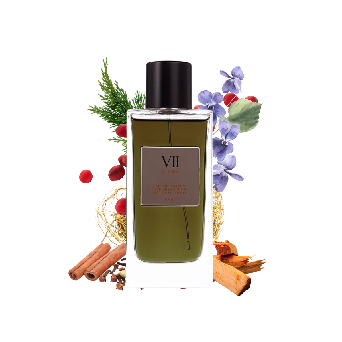AROMA VII
