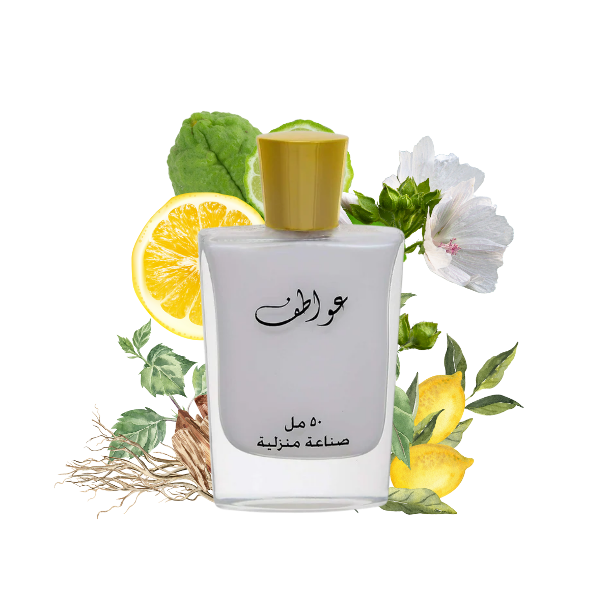 AWATIF MILK EDP