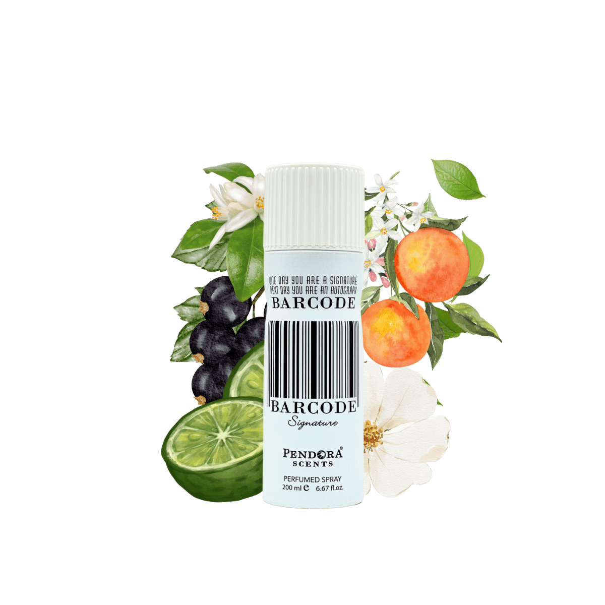 Barcode Signature deodorant by Pendora Scents