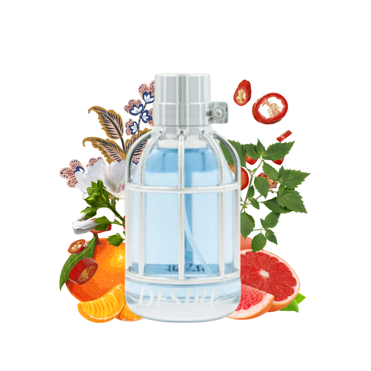 Desire Maison Asrar