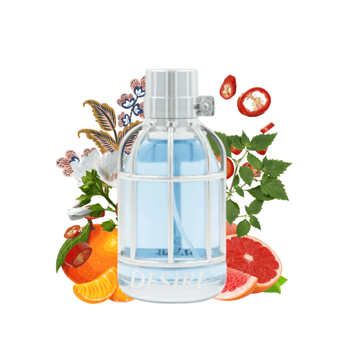 Desire Maison Asrar men's perfume