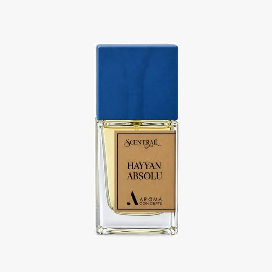 Hayyan Absolu