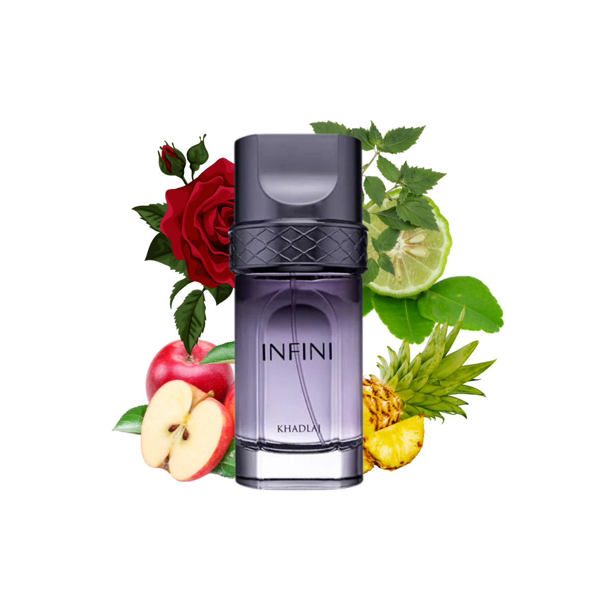 INFINI EDP