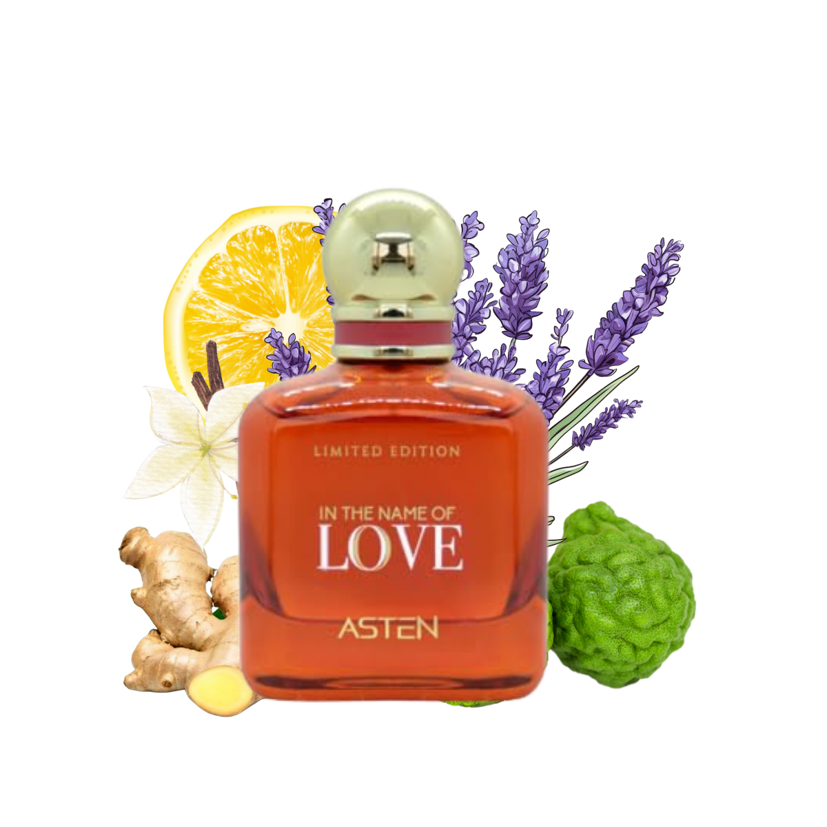 IN THE NAME OF LOVE ASTEN - Unisex Perfume