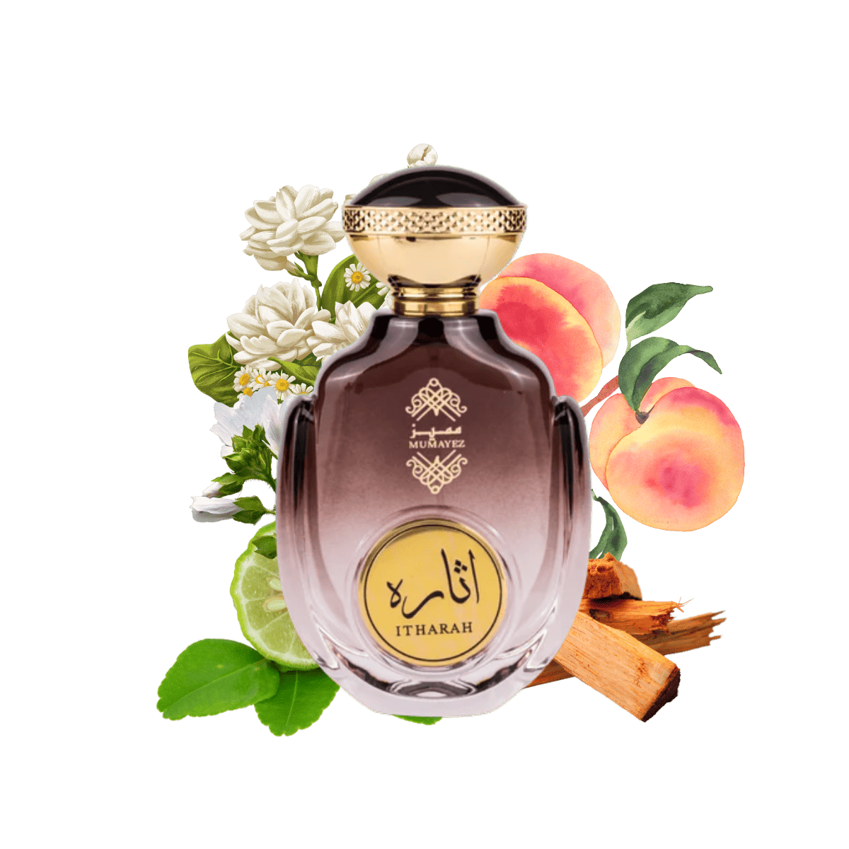 Ithara Mumayez by Gulf Orchid