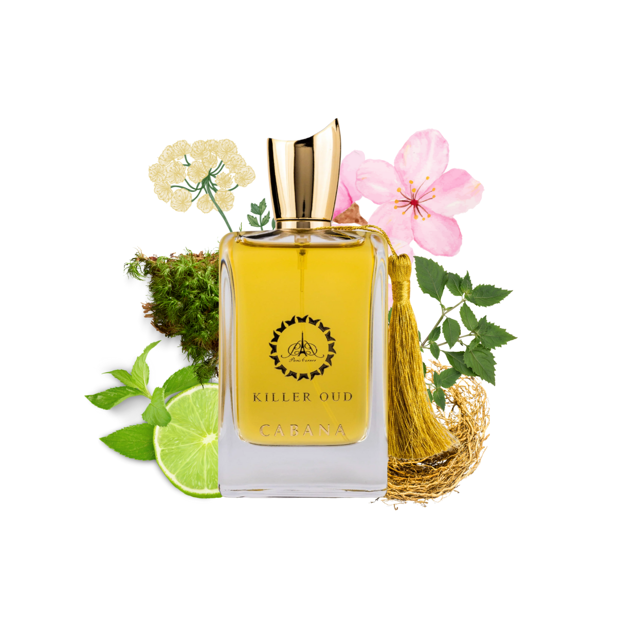 Cabana Killer Oud