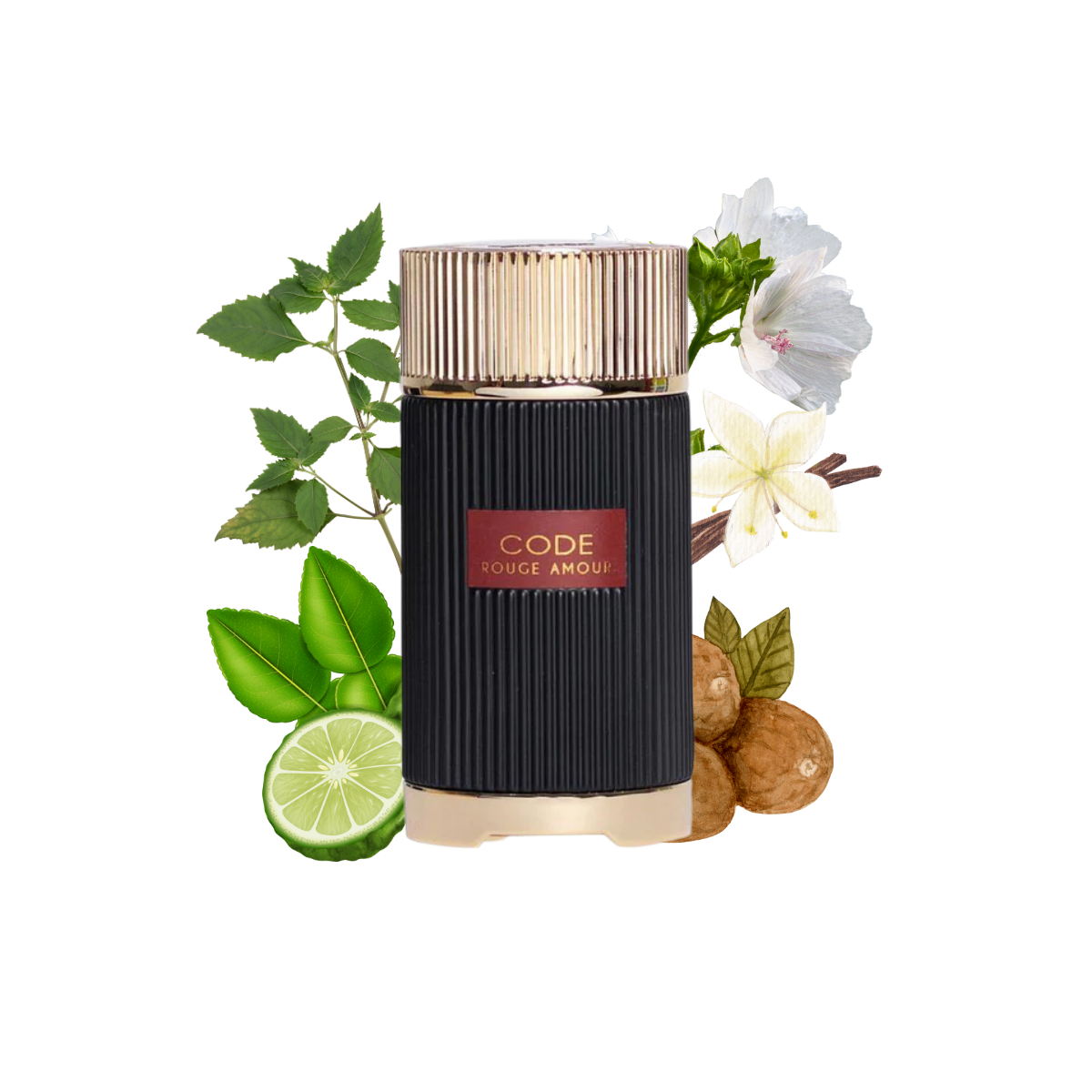 LA FEDE CODE ROUGE AMOUR