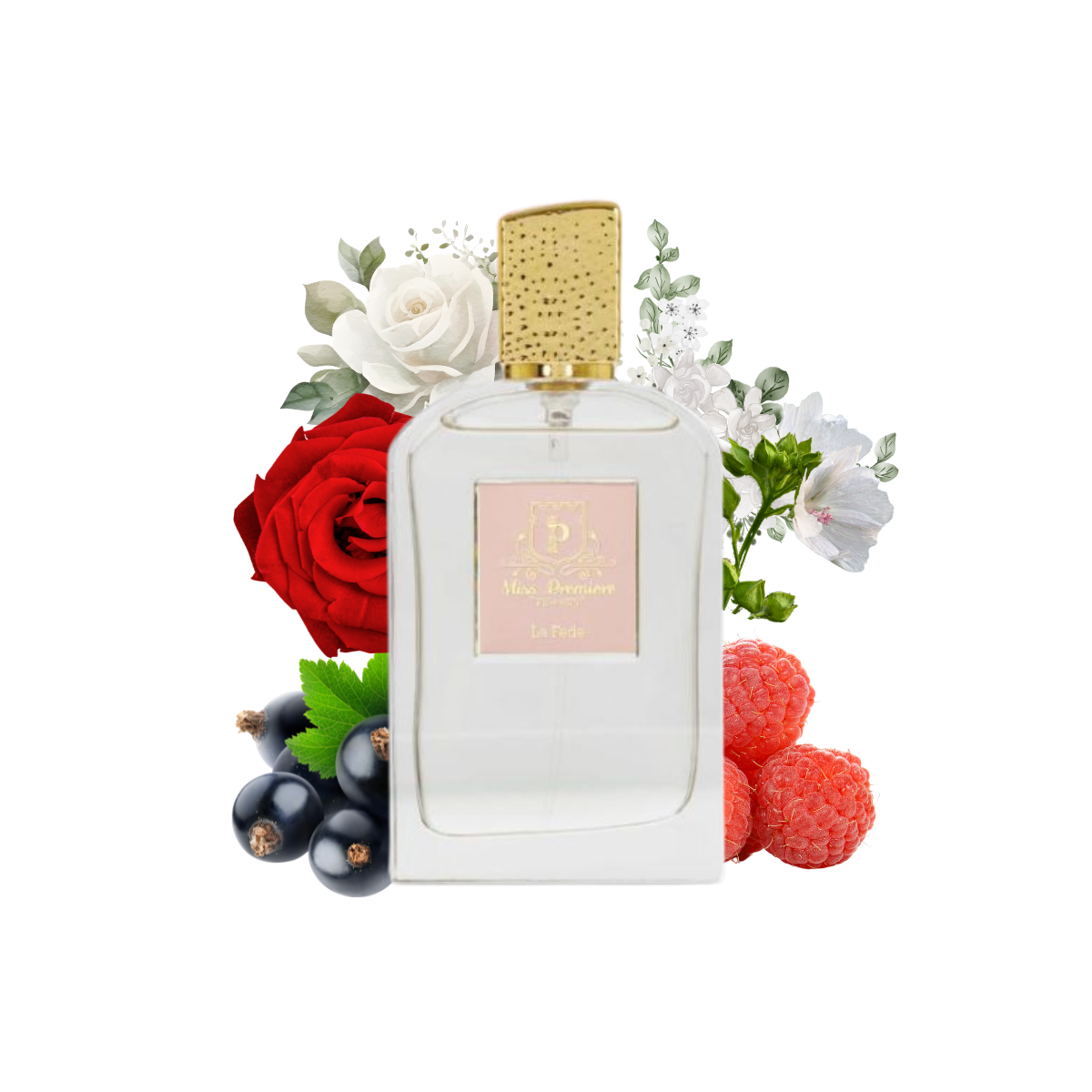 LA FEDE MISS PREMIERE