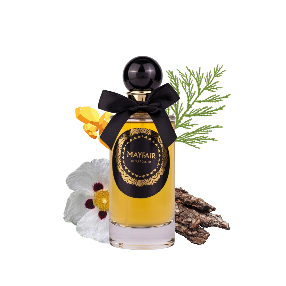 Mayfair Gulf Orchid