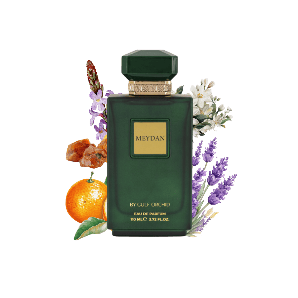 Meydan by Gulf Orchid unisex perfume