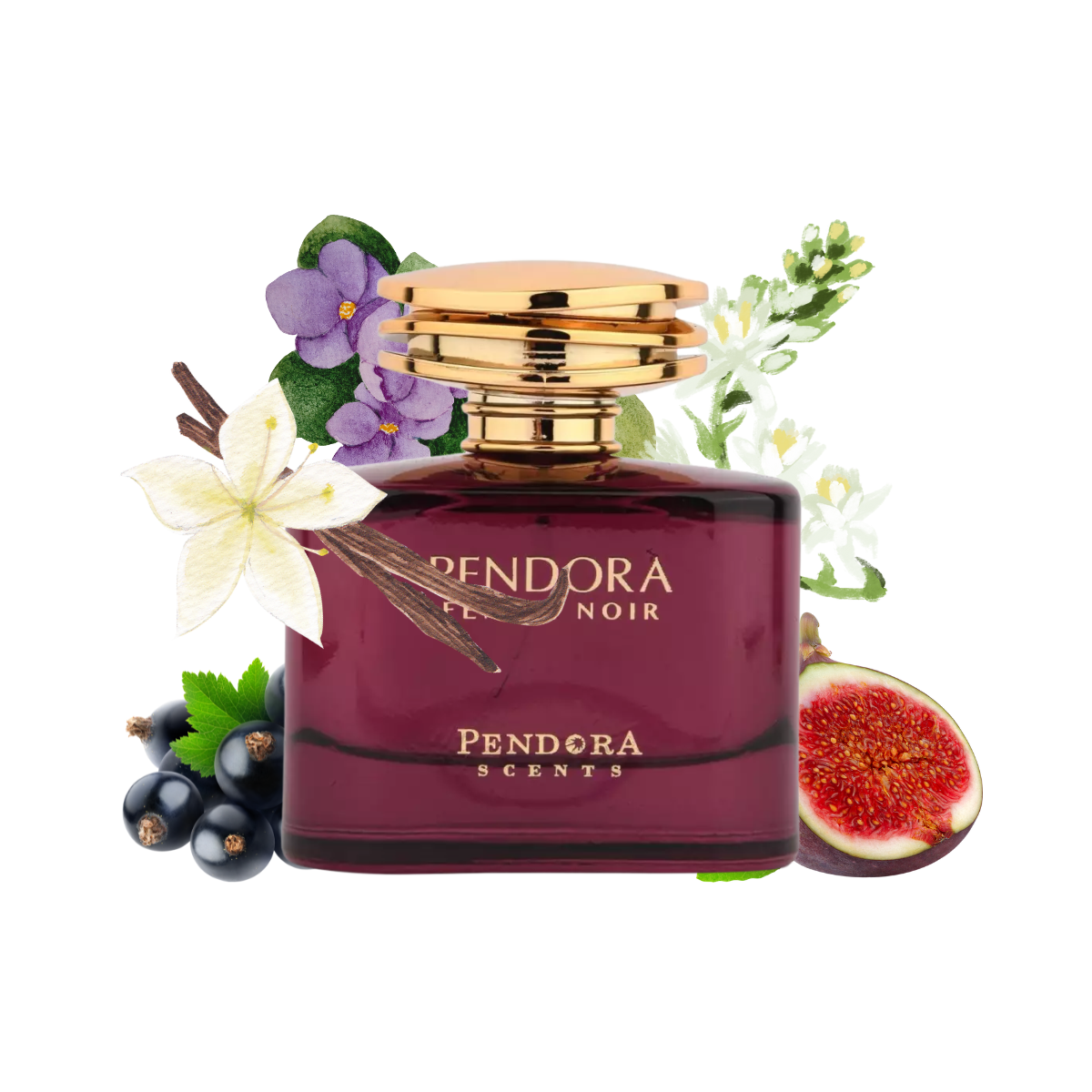 PENDORA FEMME NOIR