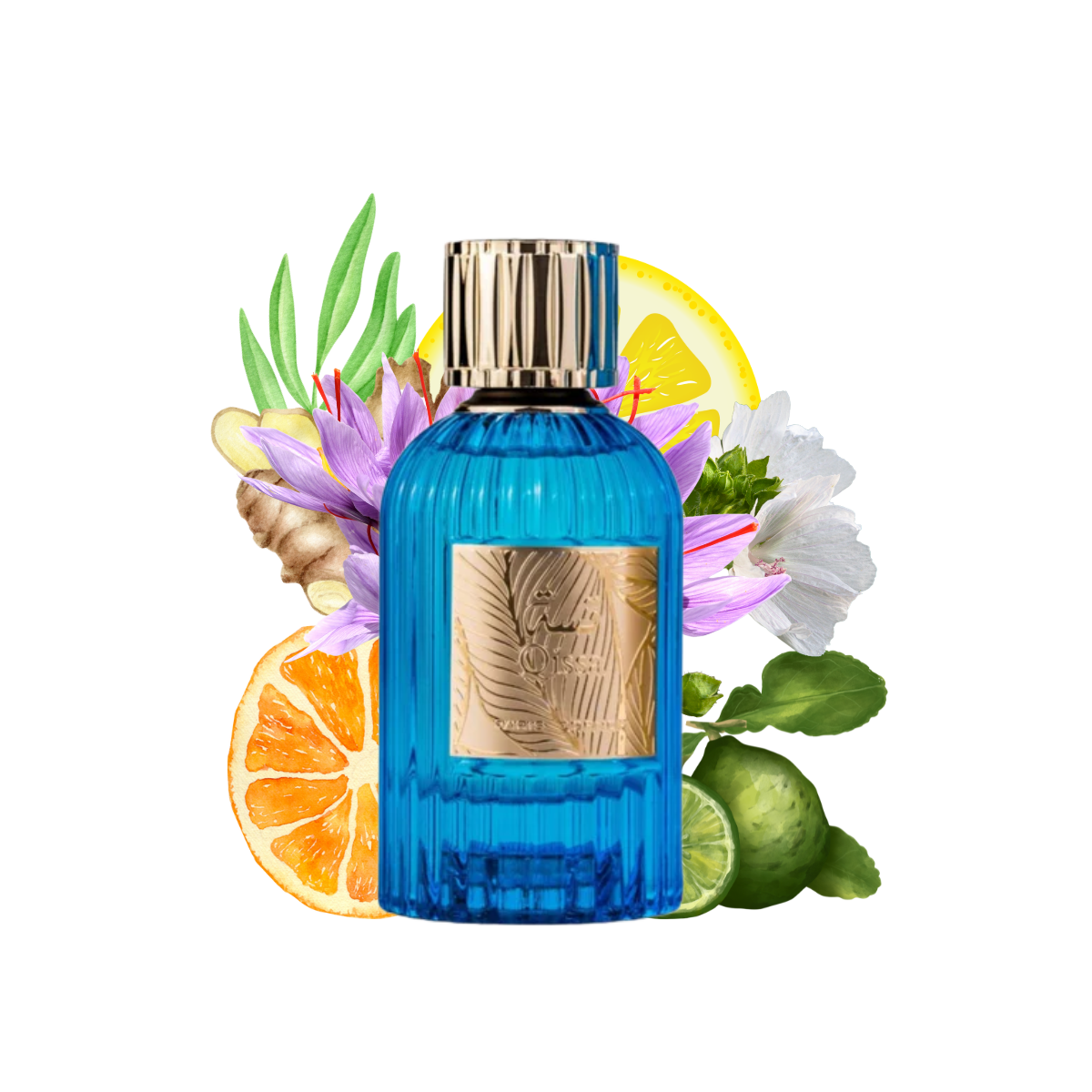 QISSA By Paris Corner Perfumes