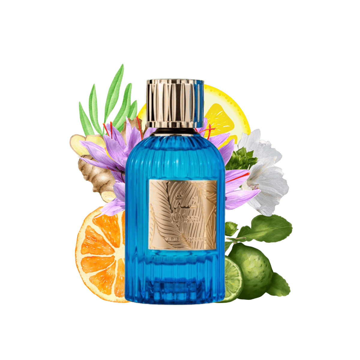 QISSA BLUE By ParisCorner Perfumes
