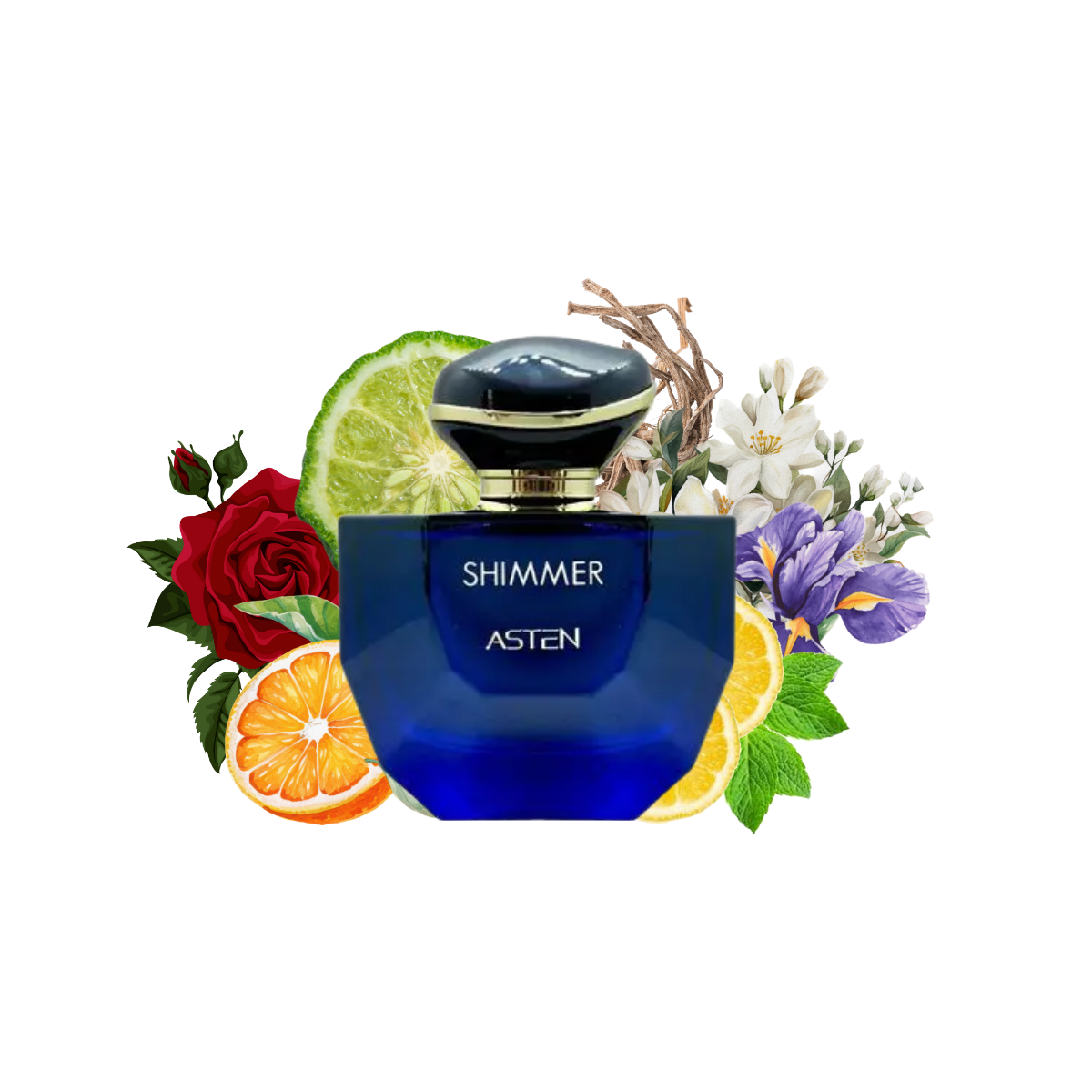 SHIMMER ASTEN