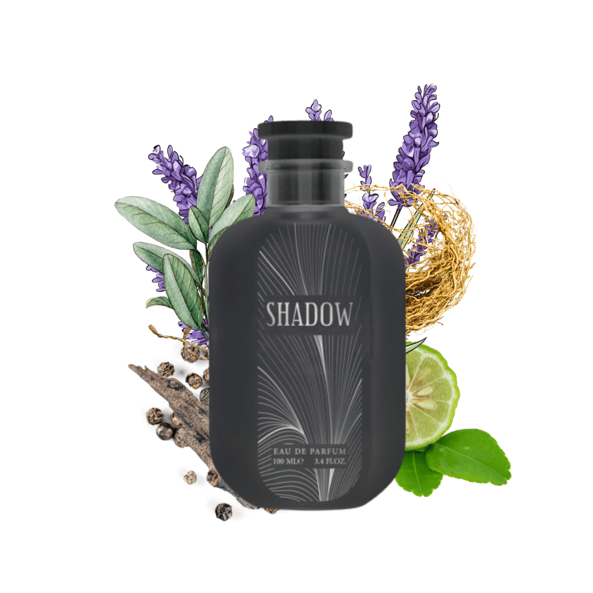 Shadow by Gulf Orchid