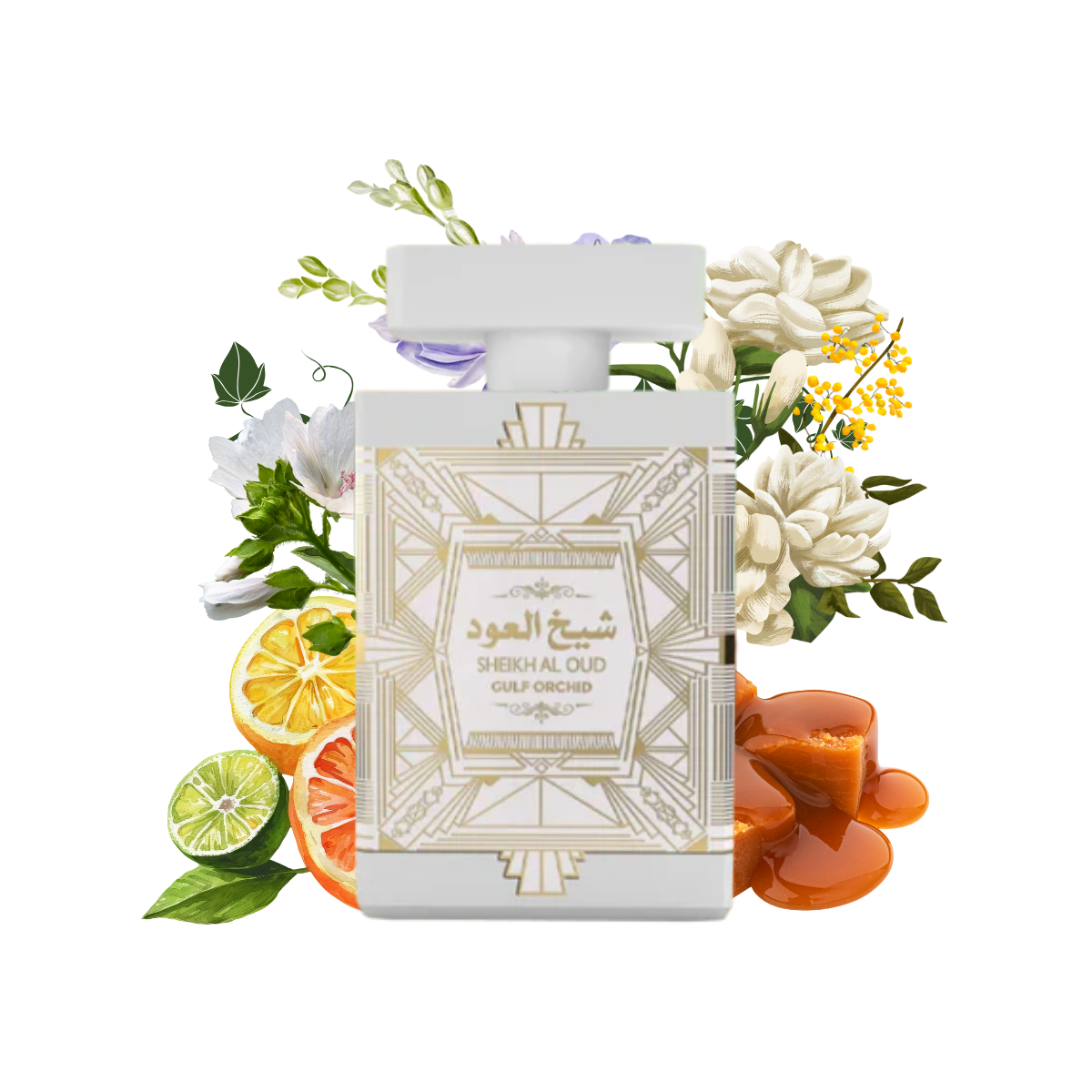 Buy Sheikh Al Oud White Gulf Orchid - Unisex Perfume 
