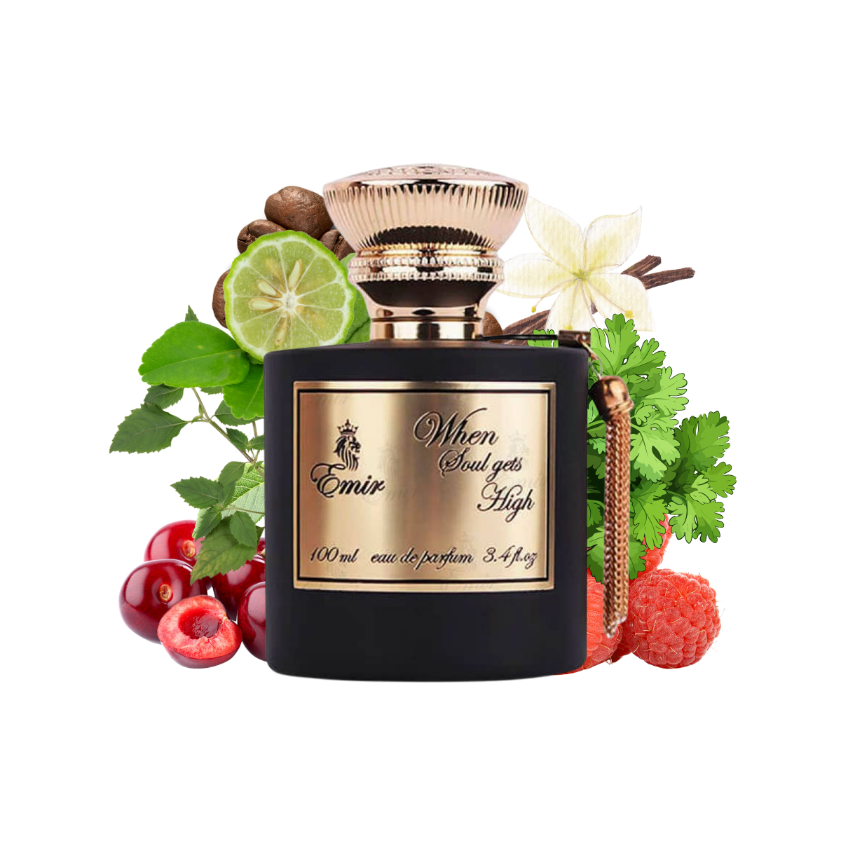 WHEN SOUL GETS HIGH EMIR