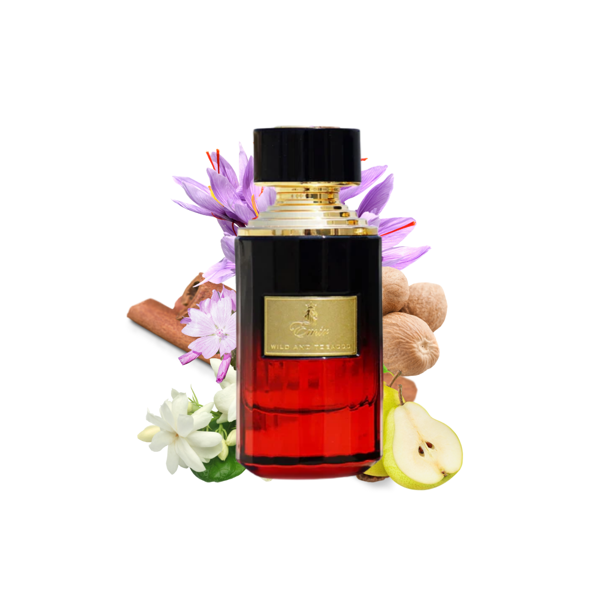paris corner emir wild and tobacco Eau De Parfum resonating with those who embrace the extraordinary Paris Corner Emir Vibrant Spicy