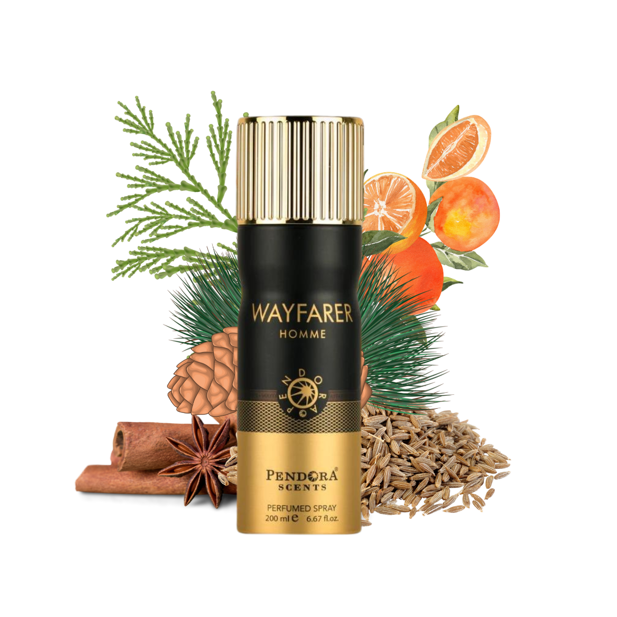 Wayfarer Homme Deo