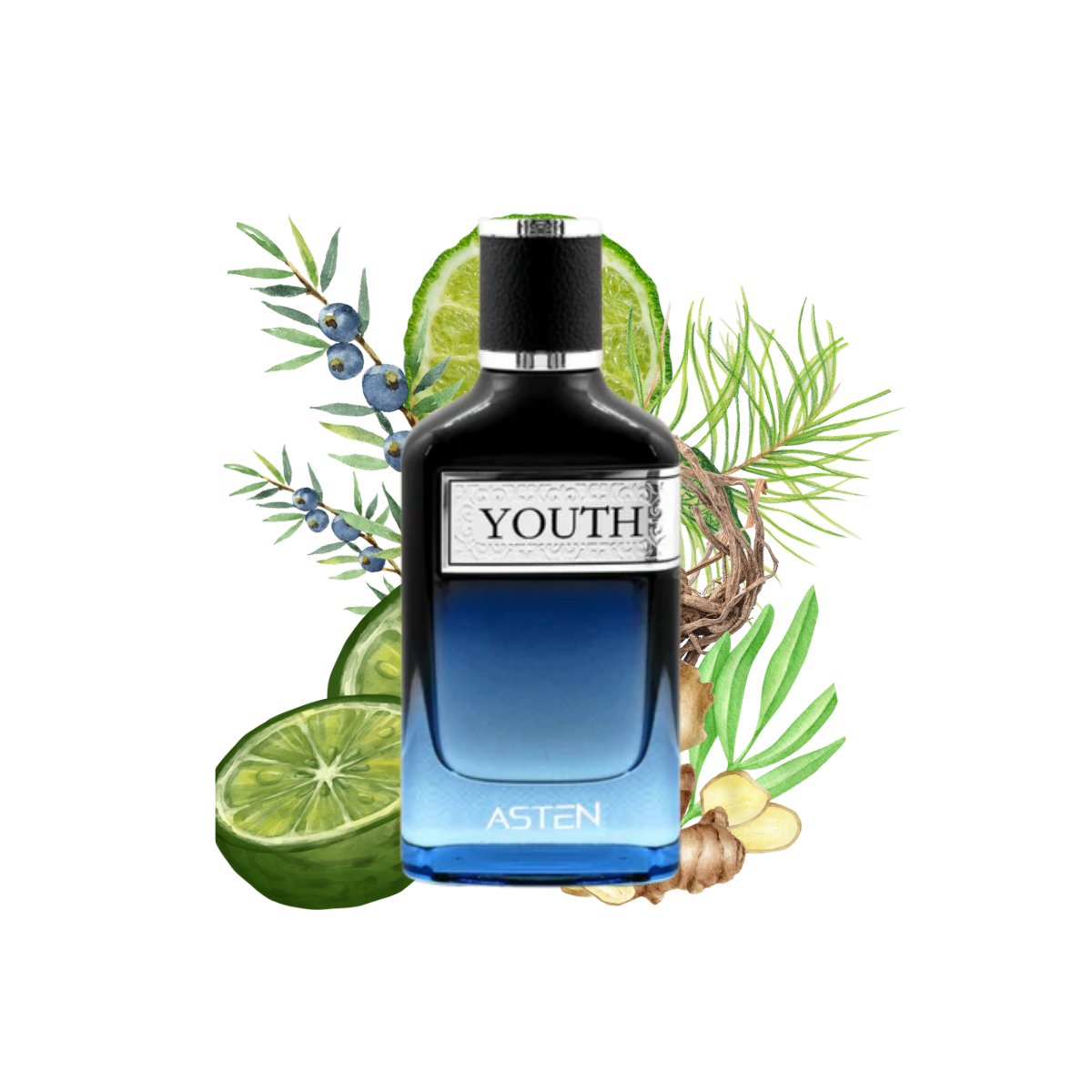 YOUTH ASTEN