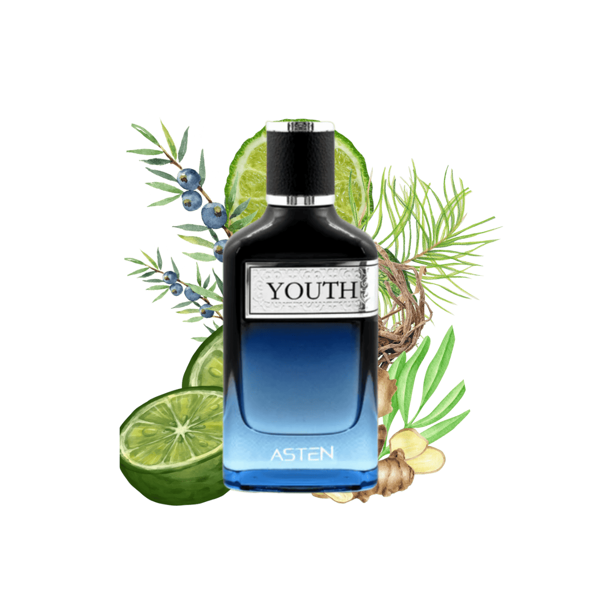 YOUTH ASTEN Perfume for Men - Inspired by Y EDP By YSL 