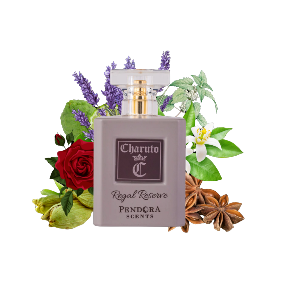 Charuto Regal Reserve mens perfume