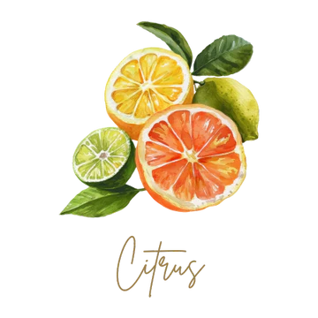 Citrus Collection