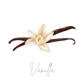 Vanilla Collection