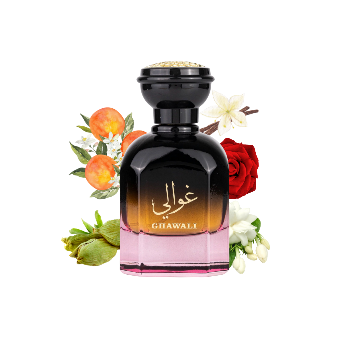 Ghawali Gulf Orchid – Aroma Concepts