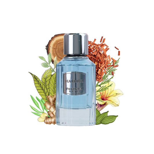 HARRIER PENDORA 50ml