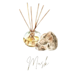 Musky Scent Collection