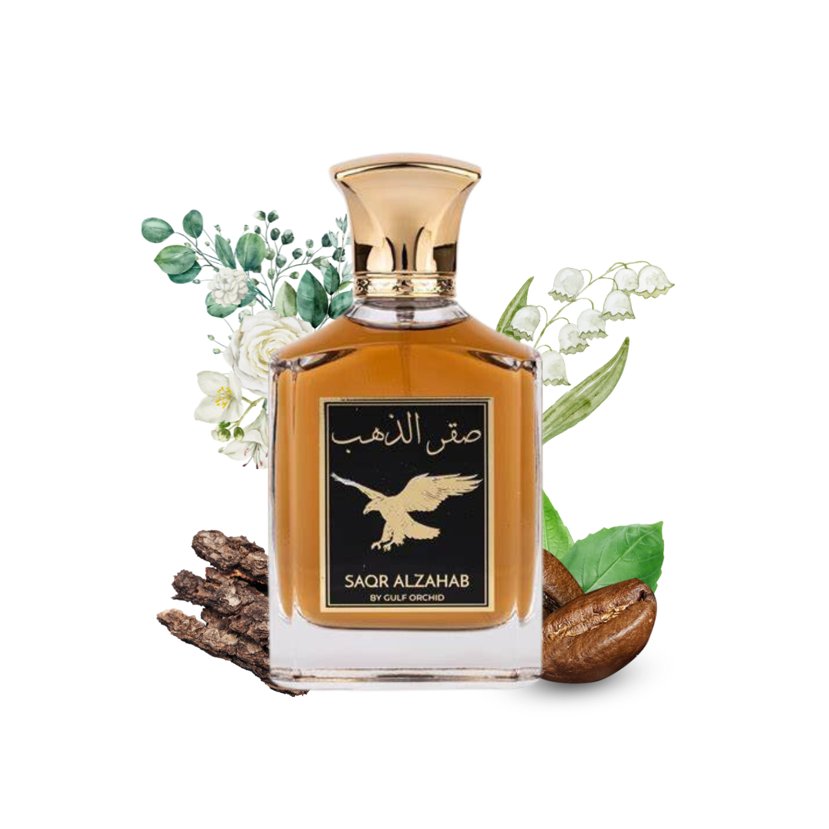 Saqr Alzahab Gulf Orchid