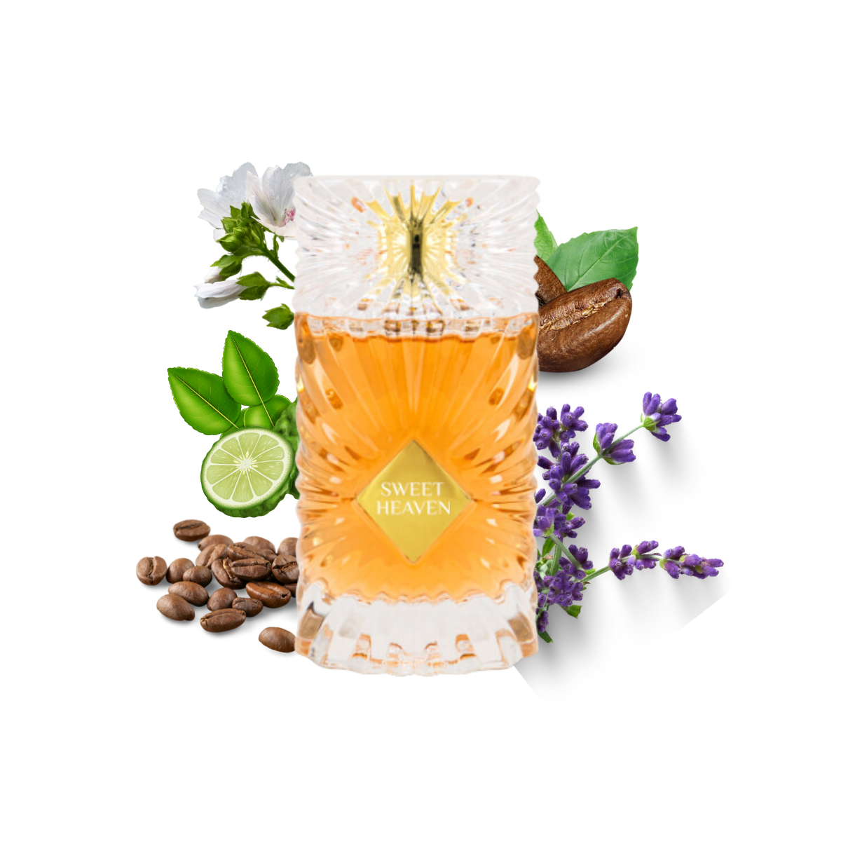 Buy Sweet Heaven - Unisex perfume by Gulf Orchid