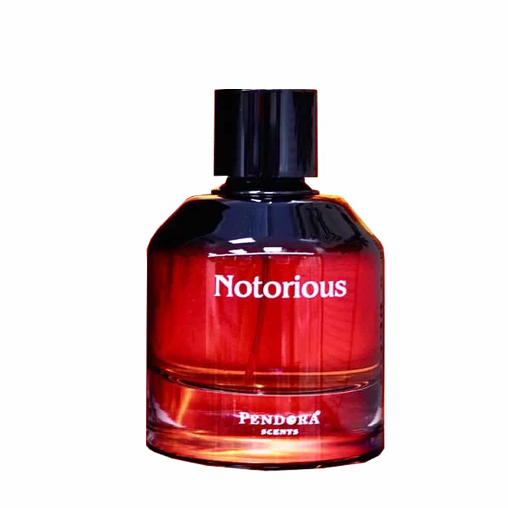 NOTORIOUS PENDORA EDP for Men